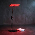 660Nm 850Nm LED Red Light Therapy Panel with Stand near Infrared Therapy Lamp Devices for Body Muscle Relax and Skin Care